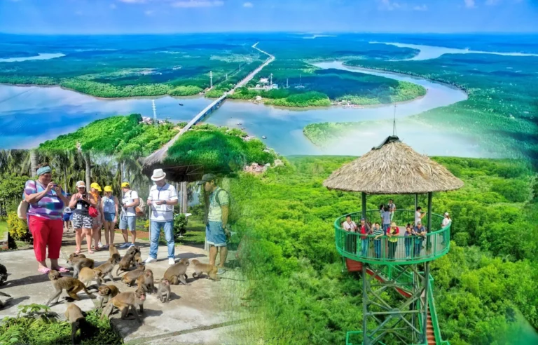Can Gio Mangrove Forest one day tour from Ho Chi Minh City featuring Monkey Island, boat trip through mangroves, Vam Sat ecological area, and biosphere reserve, Vietnam travel.