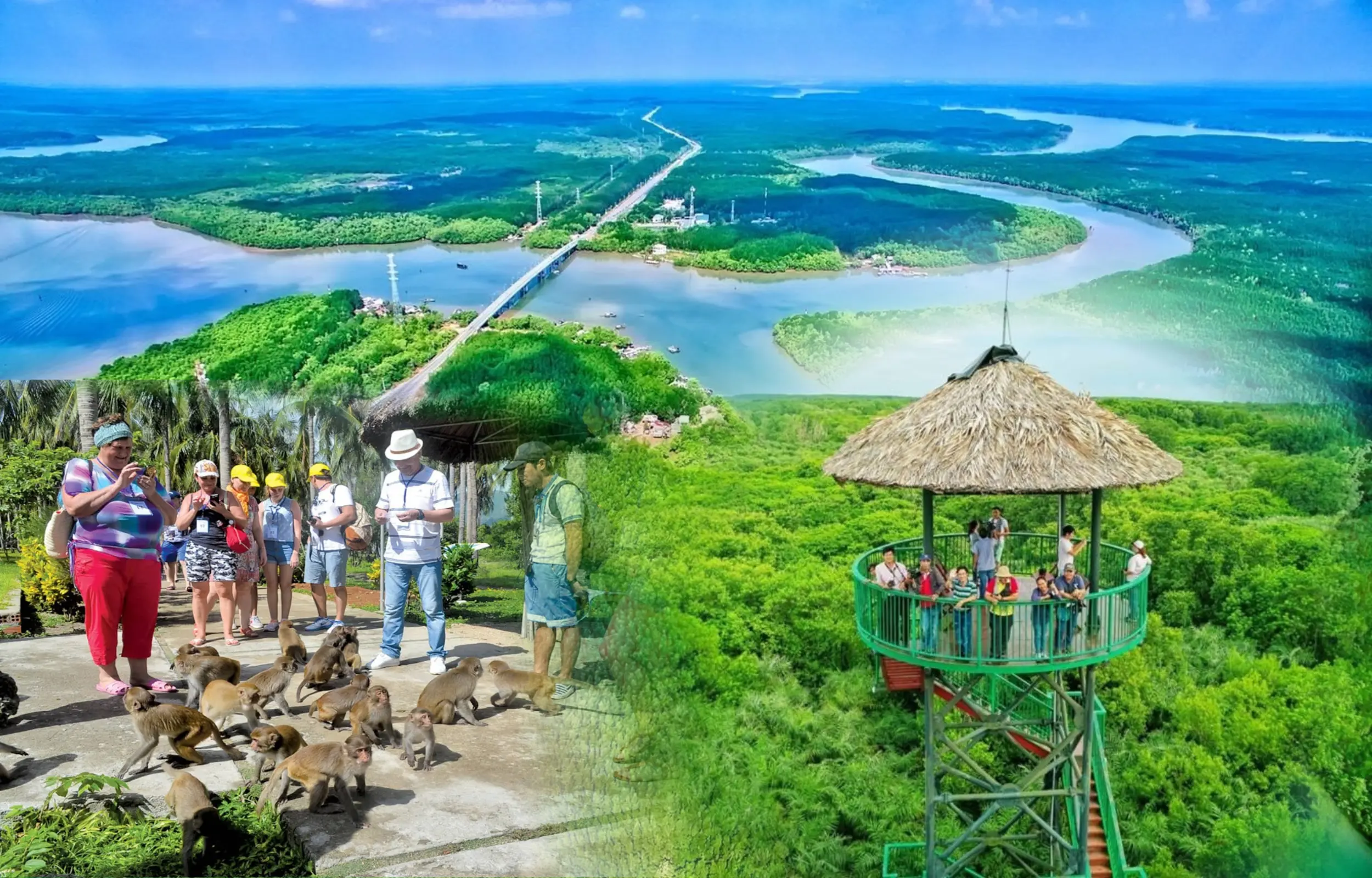Can Gio Mangrove Forest one day tour from Ho Chi Minh City featuring Monkey Island, boat trip through mangroves, Vam Sat ecological area, and biosphere reserve, Vietnam travel.