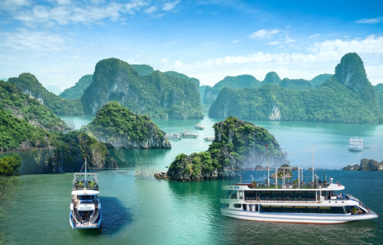 Sea Lion Cruise 5-star Halong Bay tour featuring Sung Sot Cave, Titov Island, kayaking activities, and sunset party among limestone islands, Vietnam travel experience.