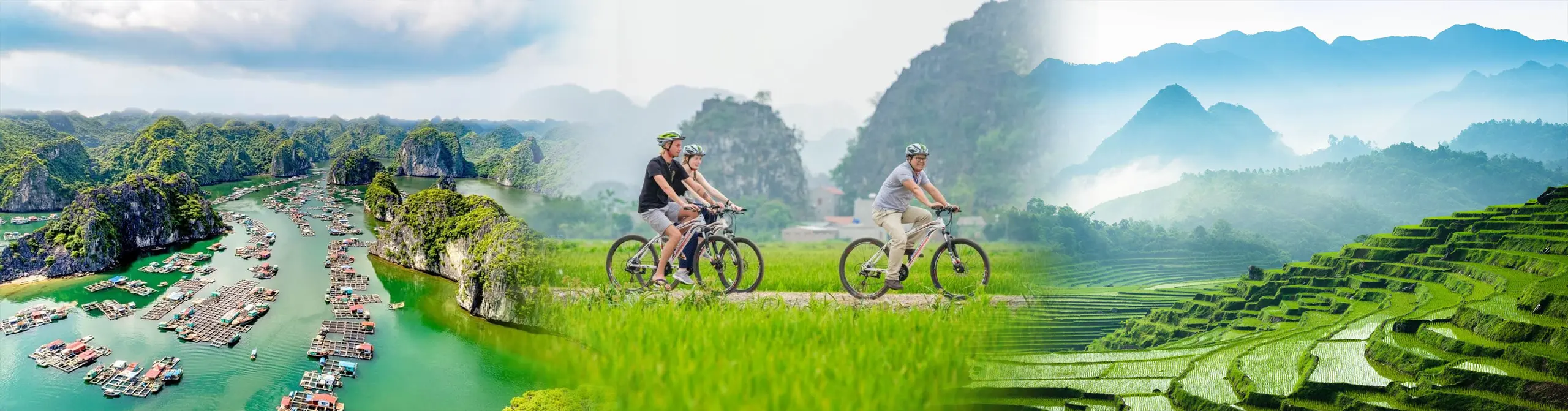 Vietnam travel landscape featuring Ha Long Bay limestone karsts, cycling tour in Ninh Binh countryside, and green rice terraces in northern Vietnam