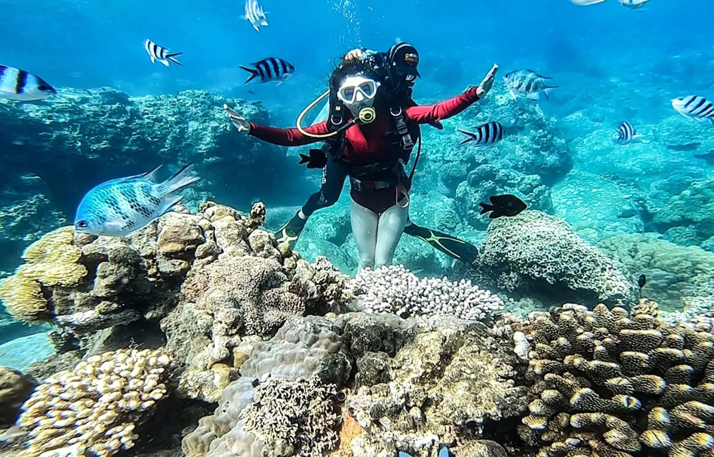 Snorkeling and scuba diving at Cham Island with coral reefs and tropical fish Vietnam travel