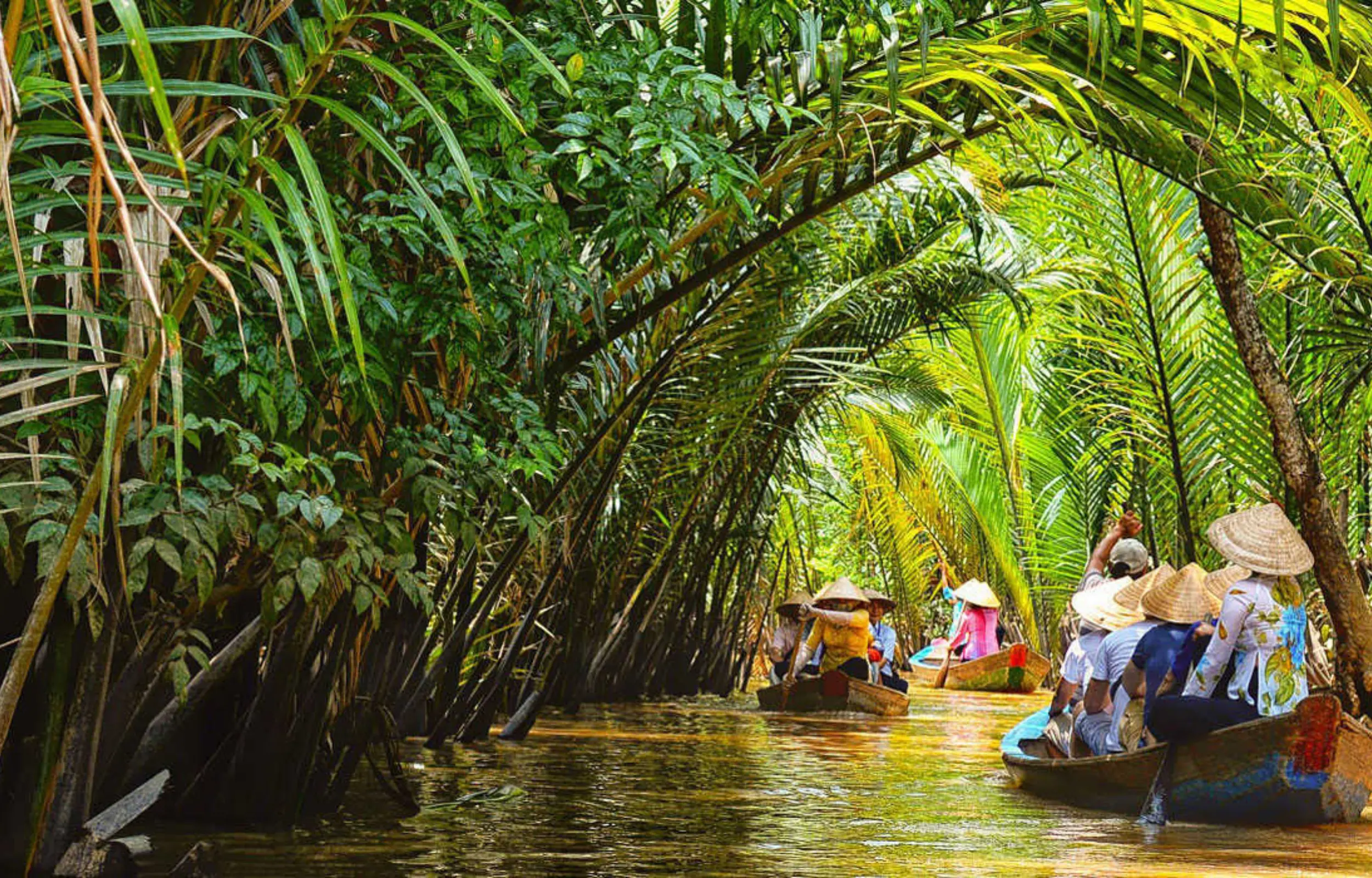 Boat ride through coconut palm waterways in Mekong Delta Vietnam travel