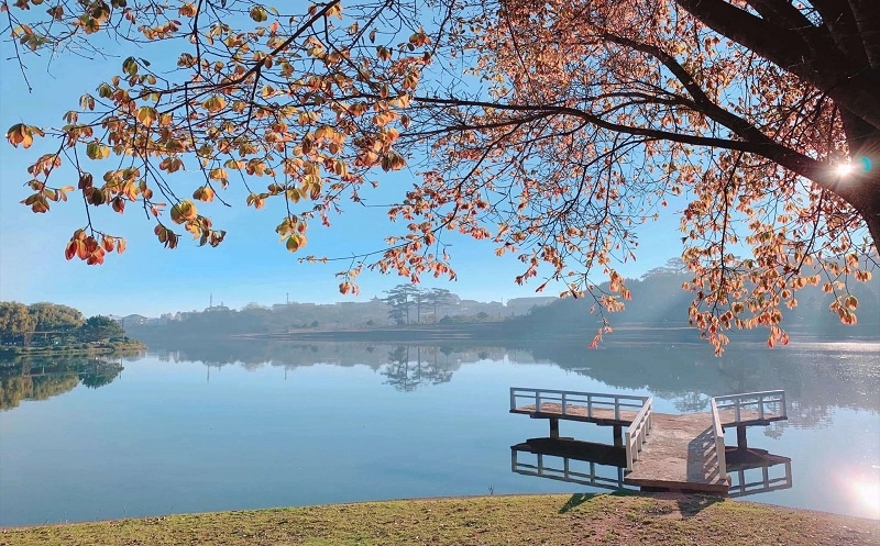 Morning mist over Xuan Huong Lake with autumn leaves and a wooden dock in Da Lat.