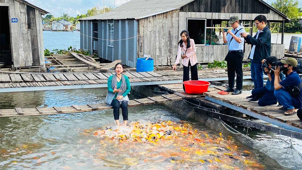 Visitors feeding koi fish at Con Son Islet in Can Tho, Mekong Delta.