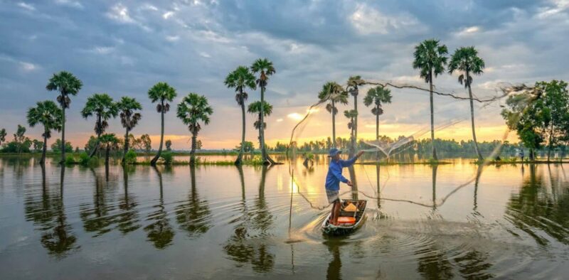 Fisherman casting a net in the flooded palm forest at sunset in An Giang Vietnam