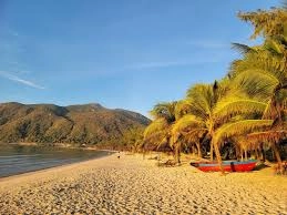 Peaceful tropical scenery at An Hai Beach with golden sand, palm trees, and calm turquoise water.