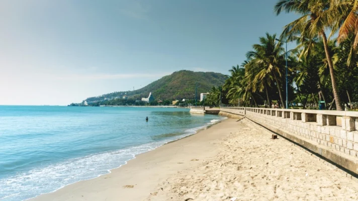 Bai Sau Beach with golden sand and palm trees along the coastline in Vung Tau Vietnam