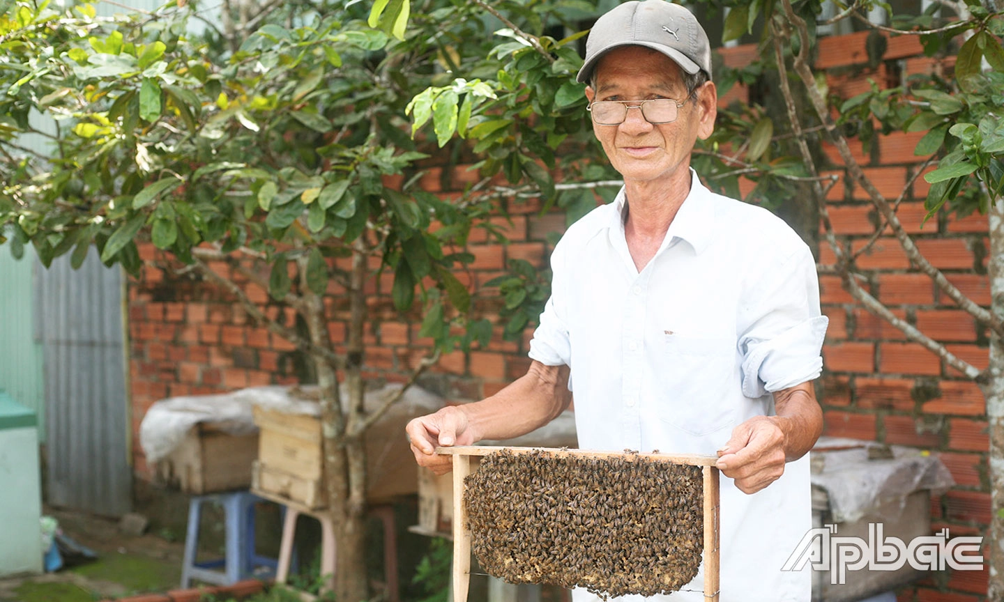 Traditional bee farm in Con Thoi Son with locals harvesting honey and displaying beehives.