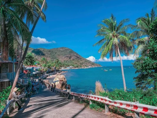 Aerial view of Hon Son Island with turquoise sea, lush green hills, and small fishing boats along the coast