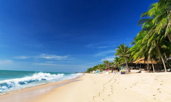 Tropical coastline with palm trees and clear blue water at Mui Ne Beach.
