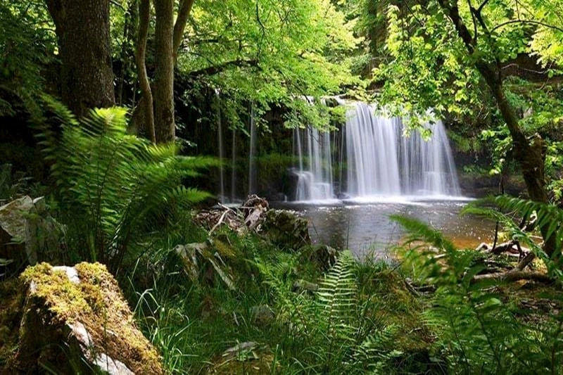 Small waterfall flowing through lush tropical forest in Phu Quoc National Park Vietnam