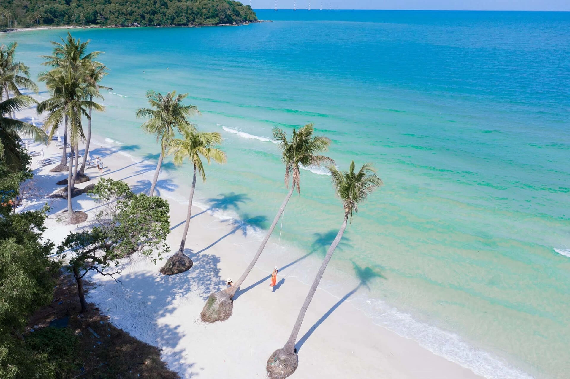 Palm trees along the white sandy beach and turquoise water at Sao Beach in Phu Quoc
