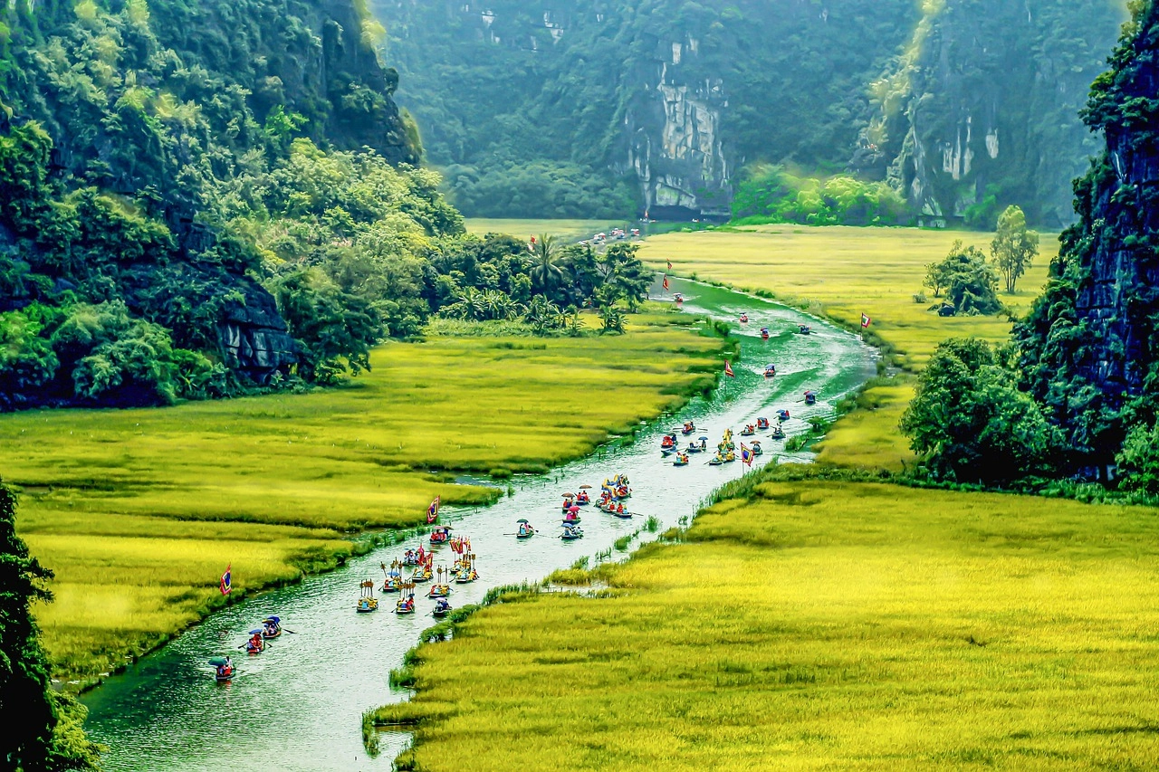 Boat ride along a winding river through golden rice fields and limestone mountains in Tam Coc
