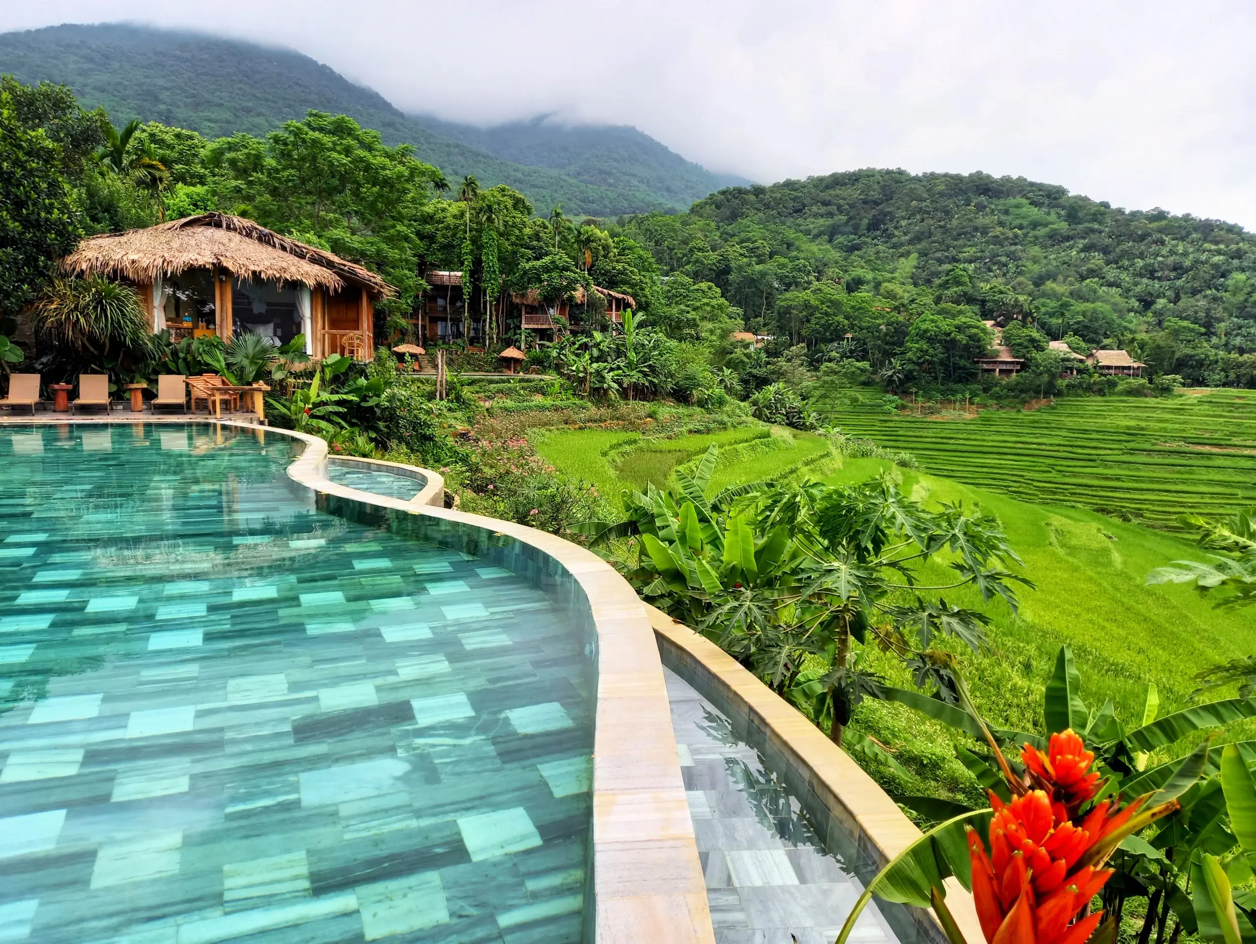 Pu Luong Nature Retreat infinity pool overlooking green rice terraces and mountain landscape in Northern Vietnam by StarTour