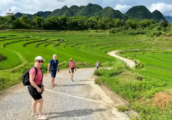 Tourists trekking through Pu Luong rice terraces surrounded by green mountains in Northern Vietnam with StarTour